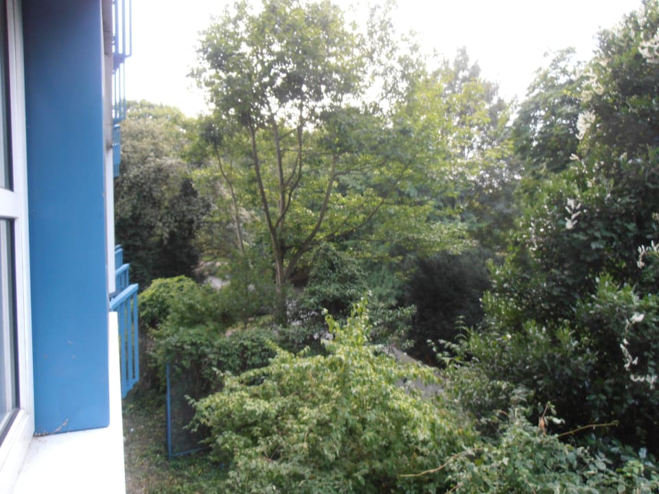 Seitlicher Ausblick nach links  Steigenberger Conti Hansa