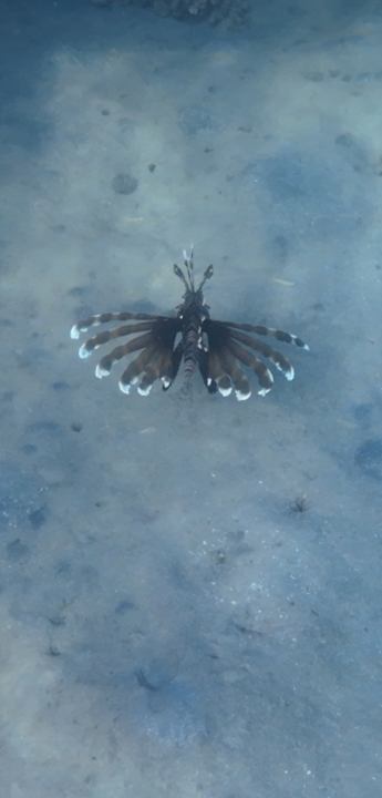 Sport & Freizeit Brayka Bay Resort