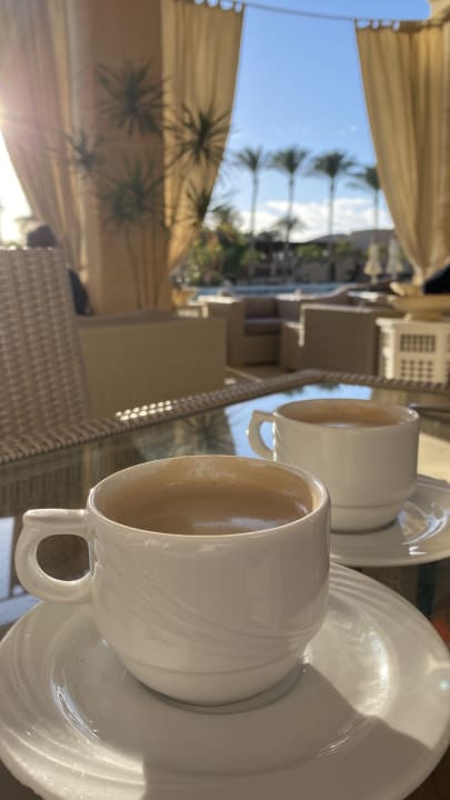 Gastro Makadi Spa - Adults only