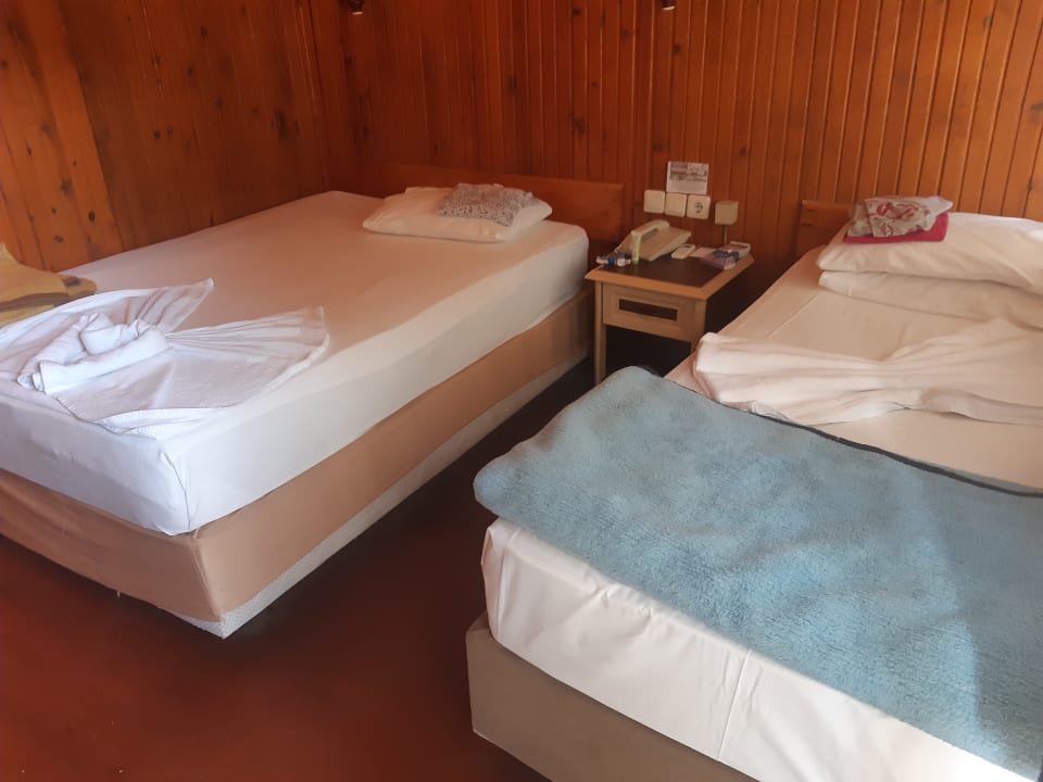 Zimmer Clover Magic Nova Beach