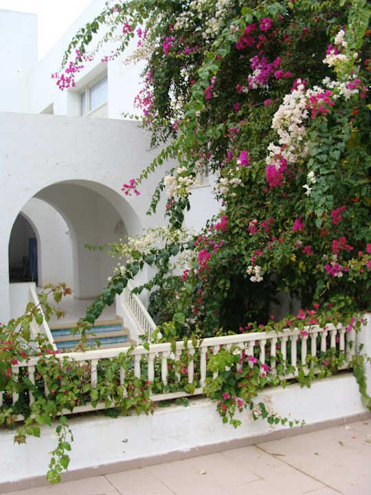 Kaffee The Orangers Beach Resort and Bungalows