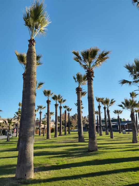 Gartenanlage Megasaray Club Belek
