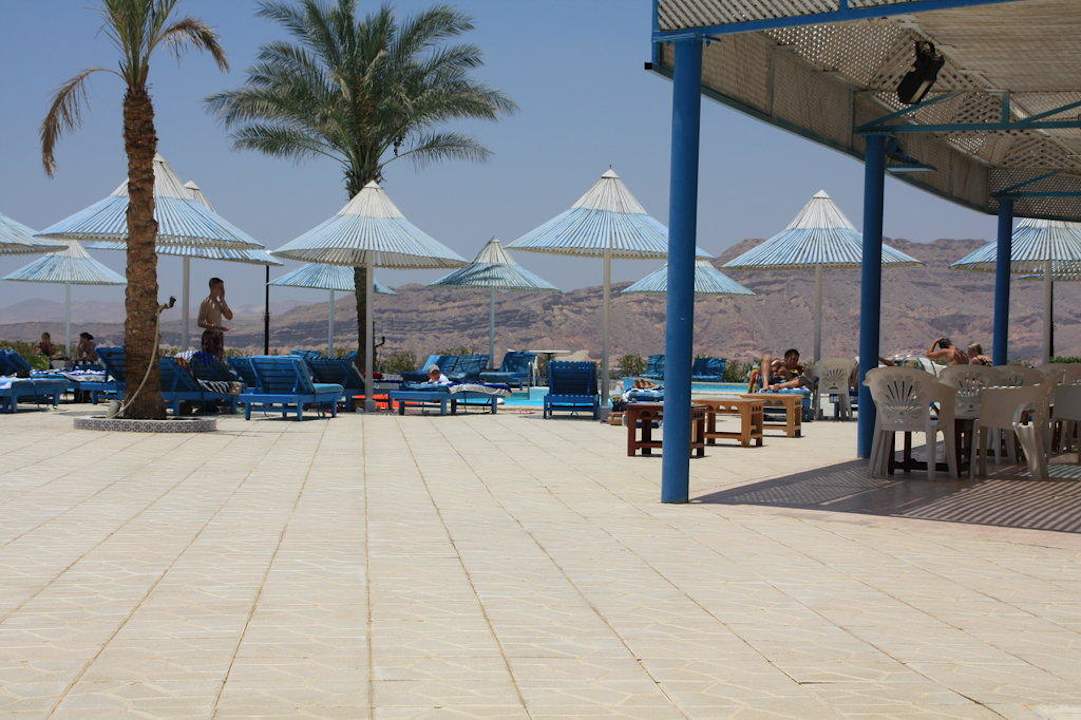 Pool am Restaurant Albatros Sharm Resort