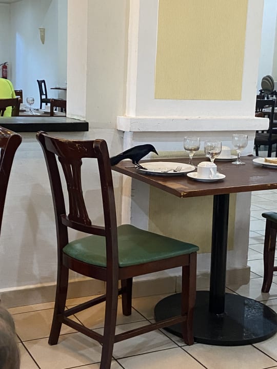 Gastro Iberostar Origin Laguna Azul