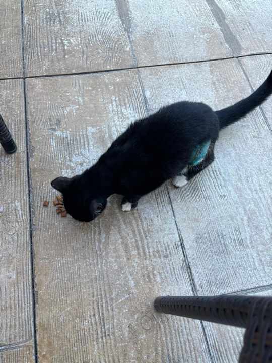 Sonstiges Mary Hotel Side