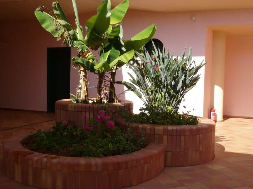 Hotel CALIMERA Sirens Beach & Village Calimera Sirens Beach