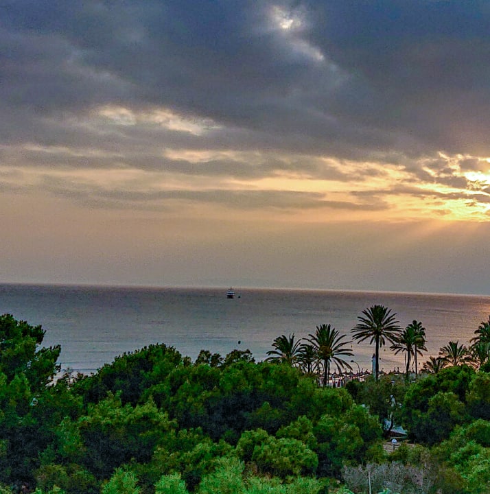 Ausblick Aparthotel Houm Plaza Son Rigo