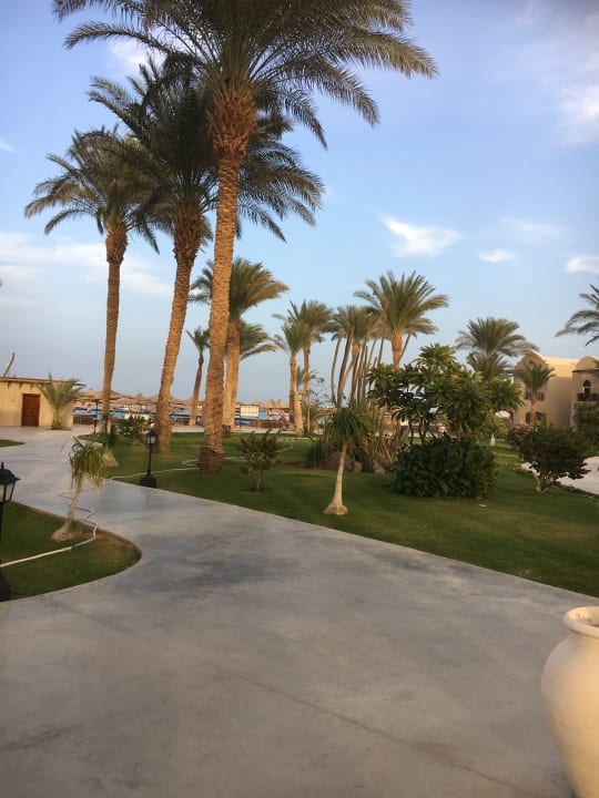 Gartenanlage Iberotel Makadi Beach