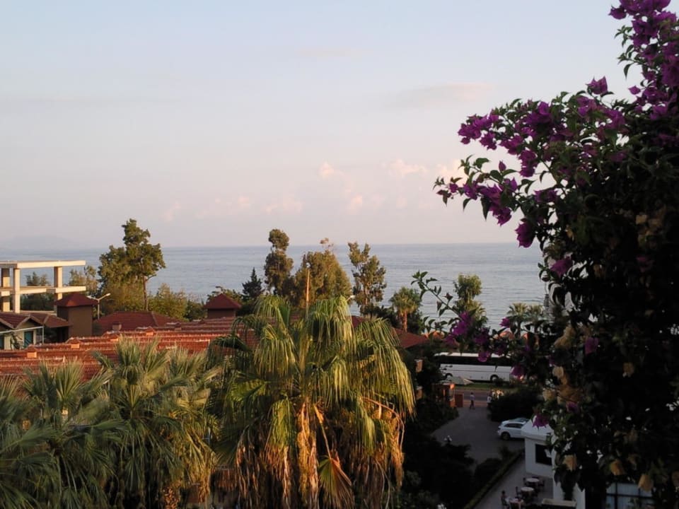 Aussicht von unserem Balkon Hotel Boulevard