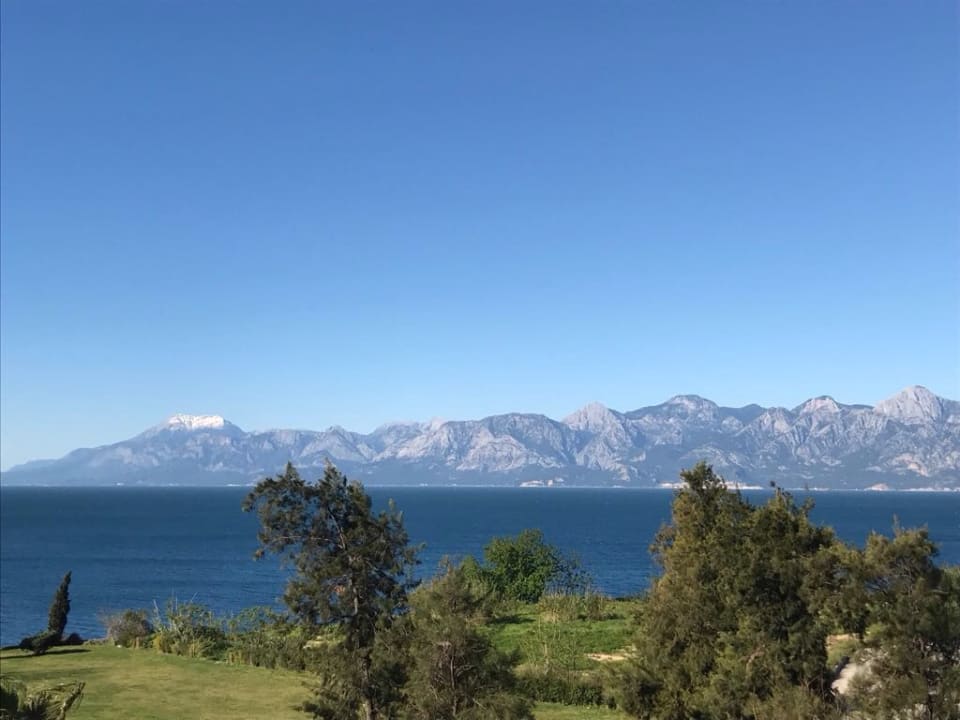 Außenansicht Falcon Hotel