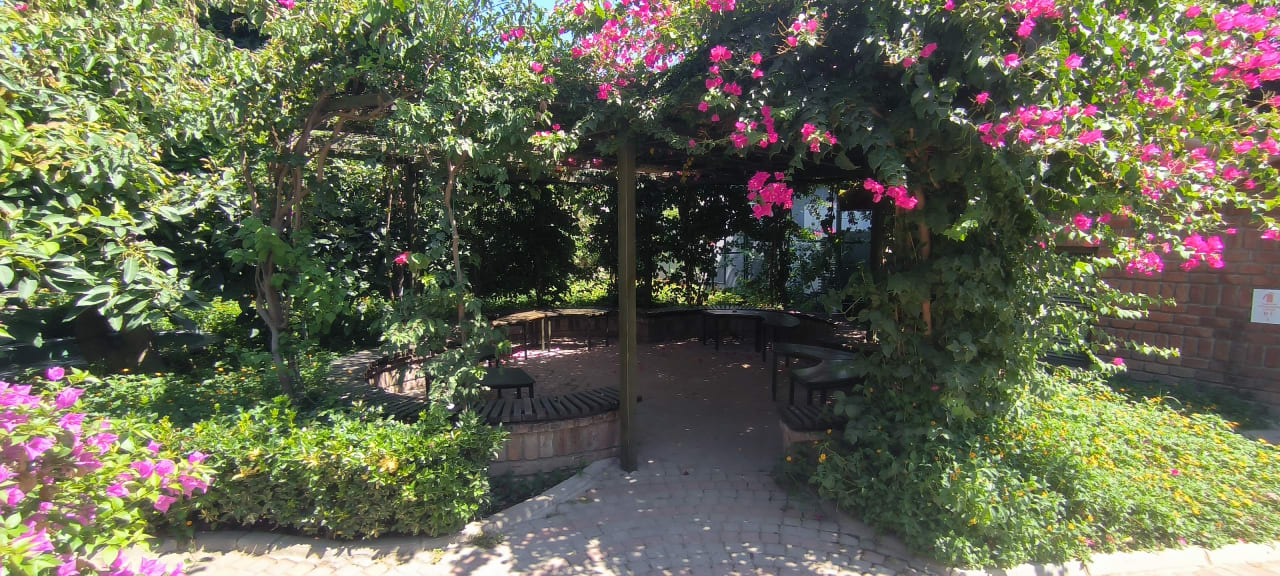 Gartenanlage Can Garden Beach