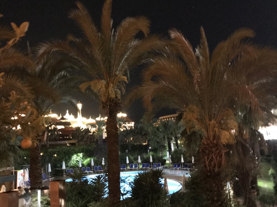 Pool Calimera Hane Garden