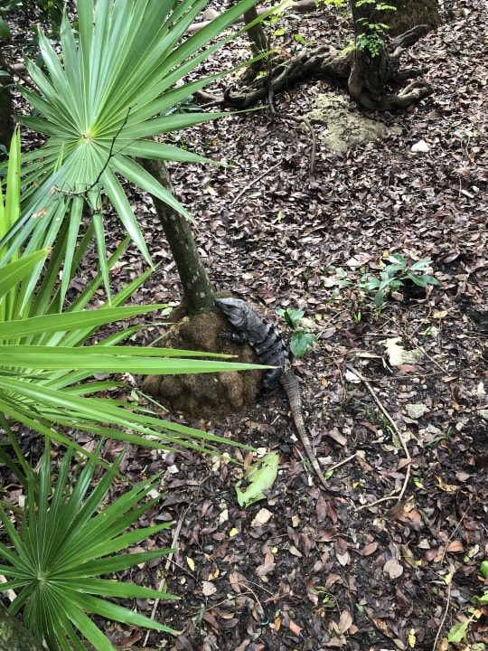 Sonstiges Iberostar Waves Paraiso Beach