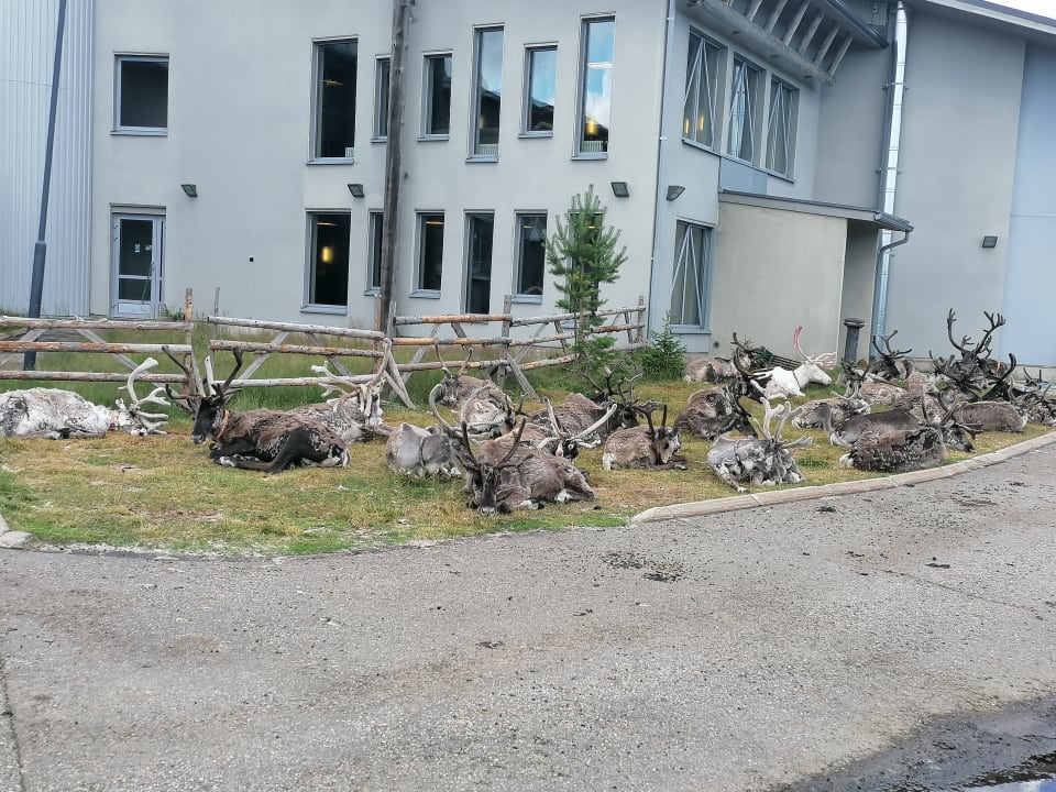 Außenansicht Lapland Hotel Luostotunturi & Amethyst Spa