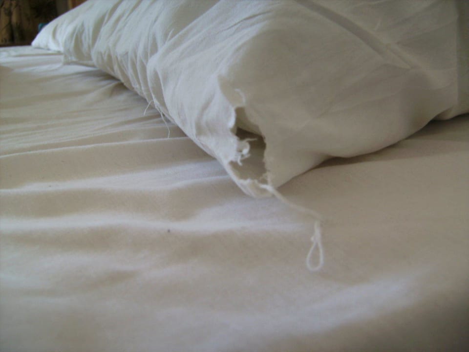 Kopfkissen Pickalbatros Alf Leila Wa Leila Resort - Neverland Hurghada