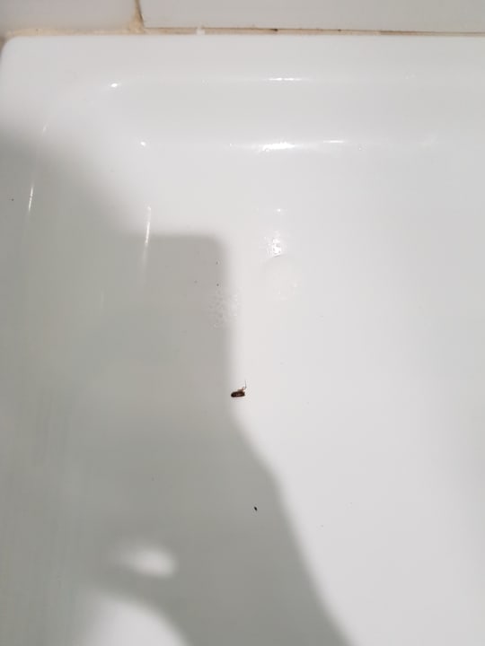 Zimmer Hotel Brisas del Caribe