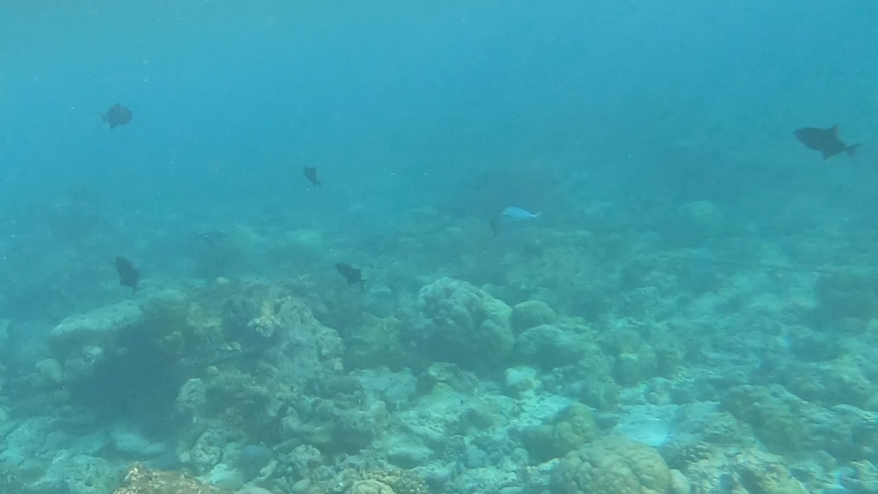 Sport & Freizeit NH Collection Maldives Reethi Resort