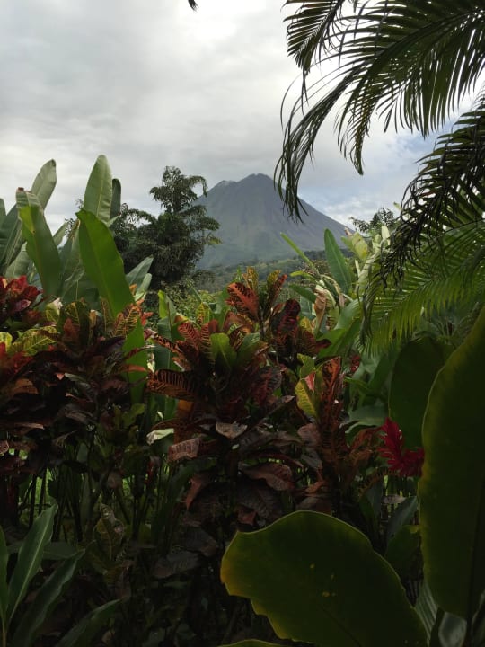 Blick von der Terrasse Hotel Arenal Nayara & Gardens