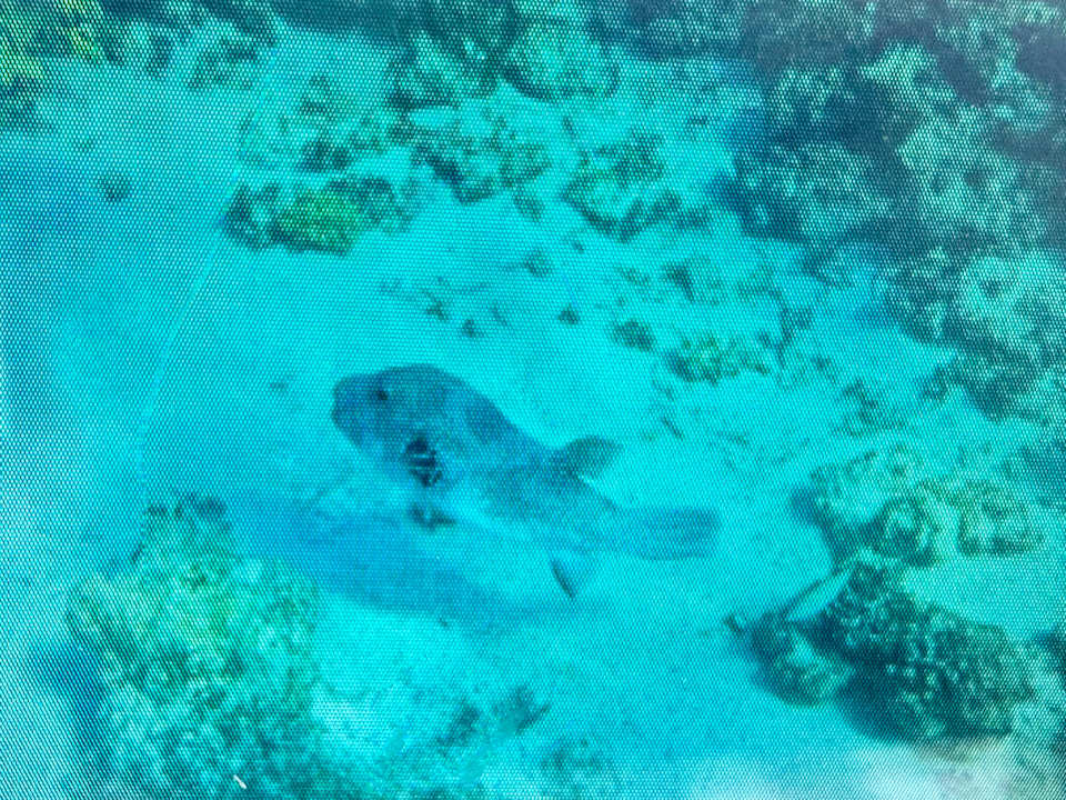 Sport & Freizeit Jaz Makadina