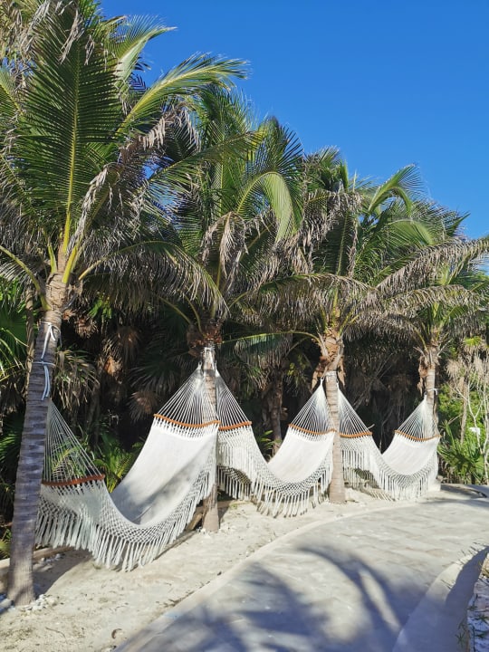Gartenanlage TRS Yucatan Hotel - Adults only