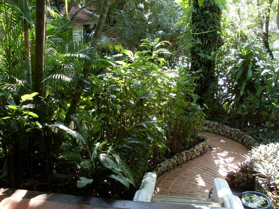 Weg vom Cottage zum Garten Anavana Beach Resort