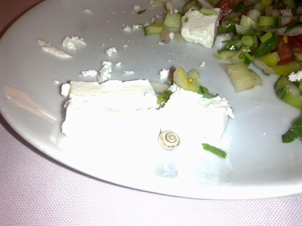 Snail in salad Side Alegria Hotel & Spa - Adults only +16