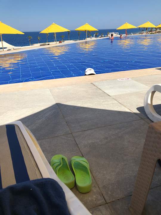 Pool Pickalbatros Citadel Resort