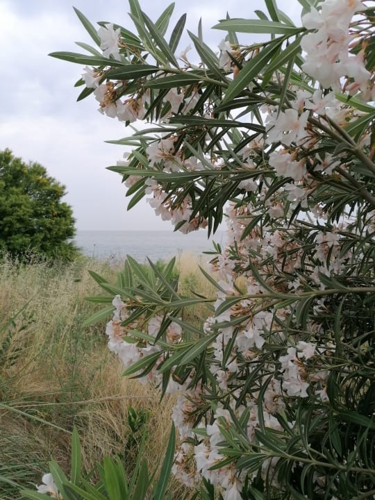 Ausblick Numa Bay Exclusive Hotel