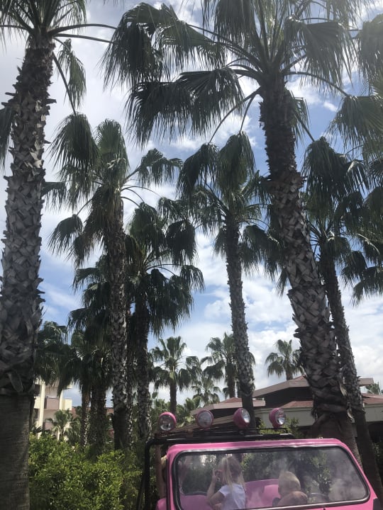 Außenansicht Hane Family Resort