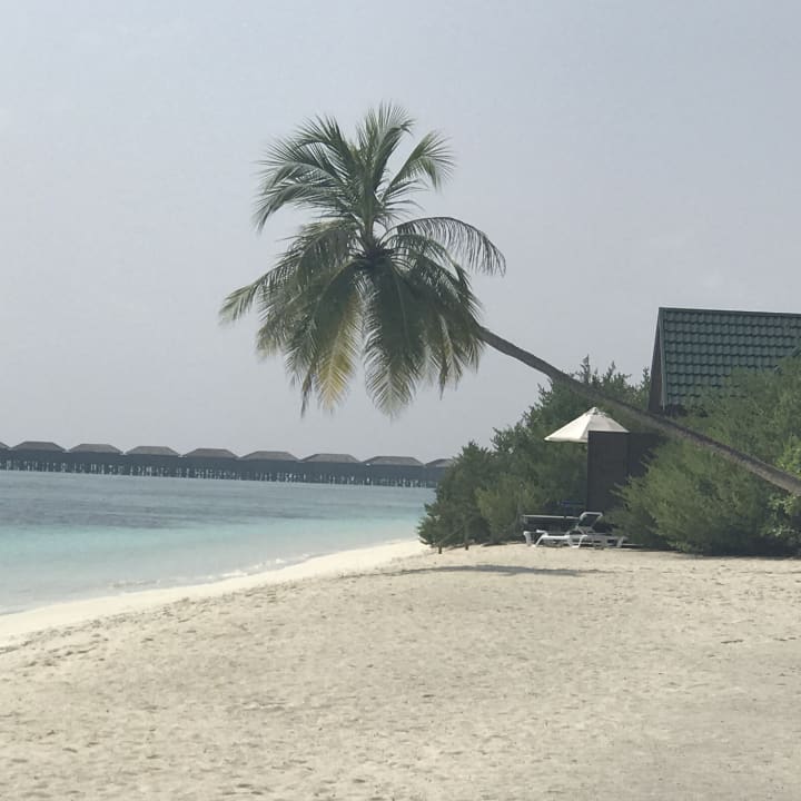 Strand Meeru Maldives Resort Island