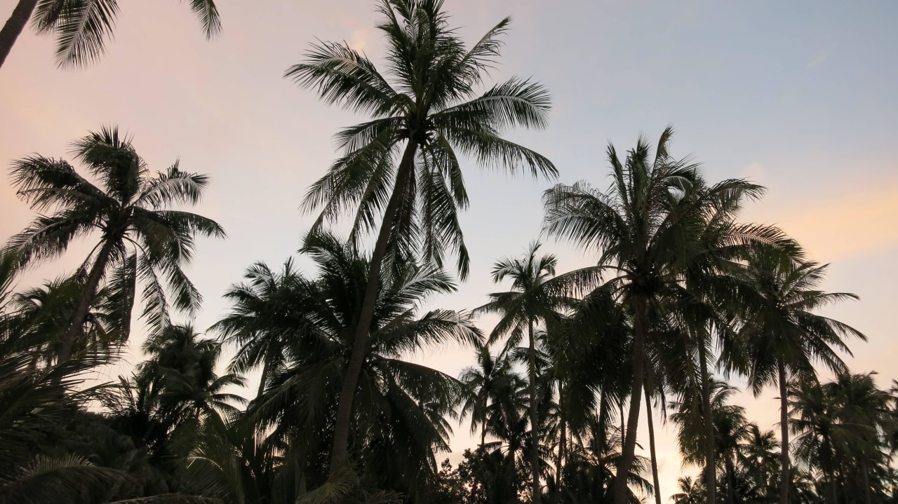 Palmen Cape Panwa Hotel