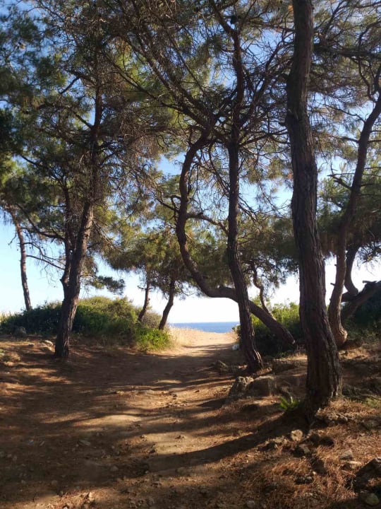 Ausblick Litore Resort & Spa