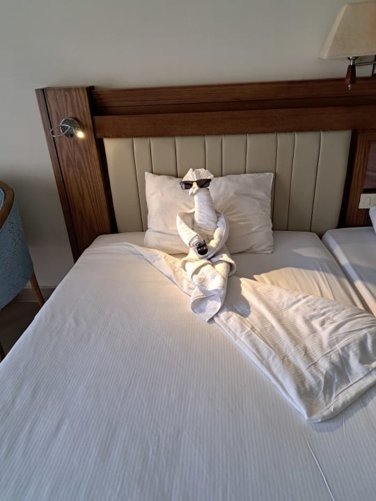 Zimmer Serenity Alpha Beach