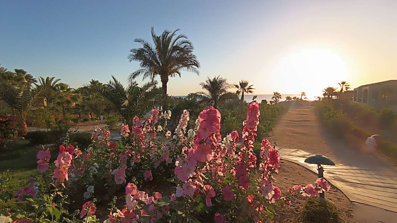 Gartenanlage Three Corners Fayrouz Plaza Beach Resort