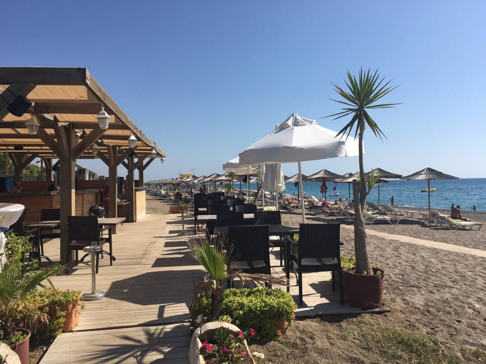 Strandbar und Liegen. Selectum Family Comfort Side