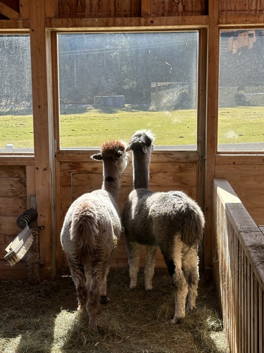 Sport & Freizeit Kinderhotel Felben