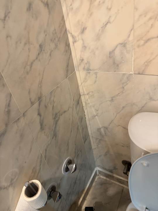 Zimmer White Valley Palace