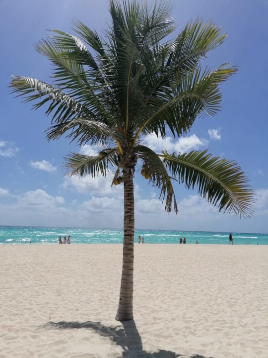 Strand Allegro Playacar
