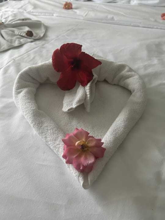 Zimmer Aqua Fantasy Aquapark Hotel & Spa