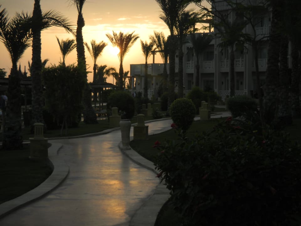 Sonnenaufgang Pickalbatros Palace Resort