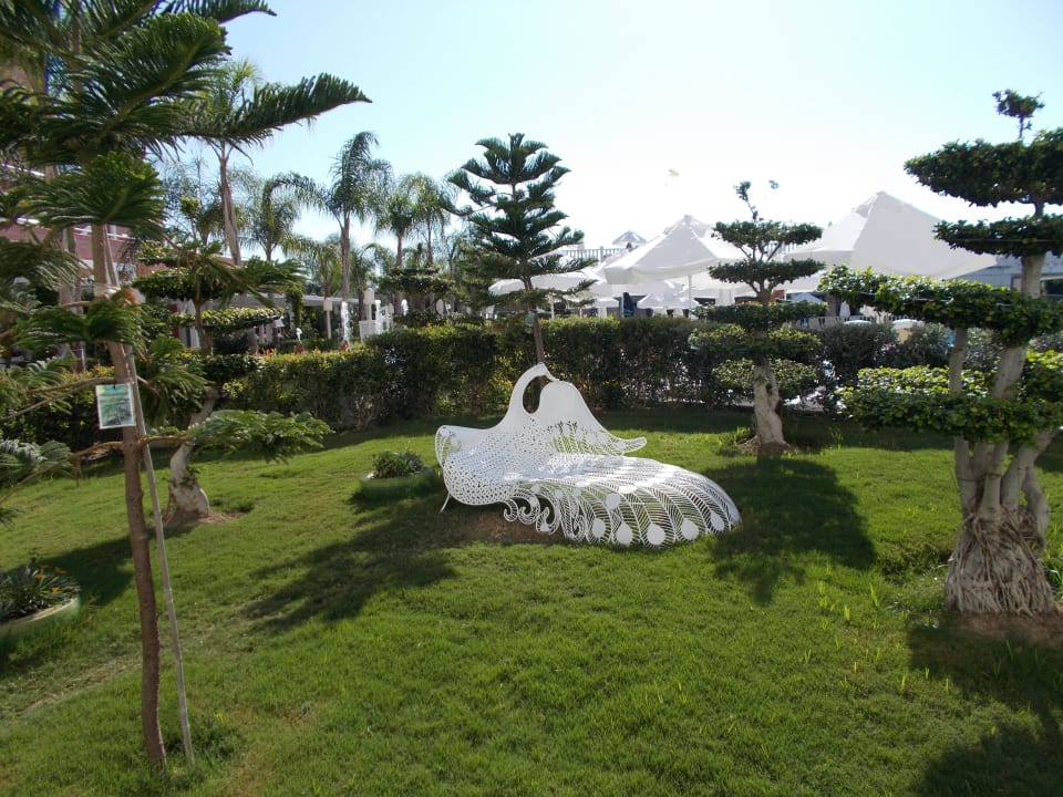 Poolgarten wunderschön angelegt Royal Taj Mahal Hotel