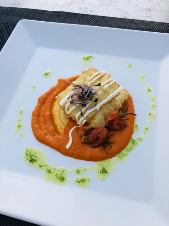 Gastro blau punta reina