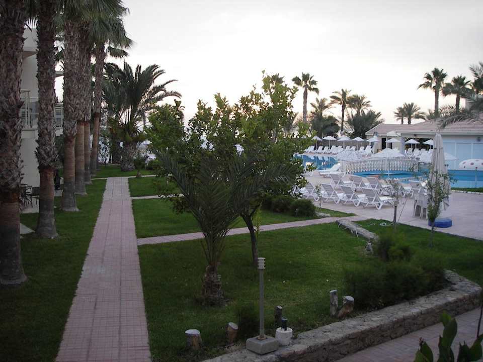 Ausblick vom Zimmer Oscar Resort Hotel