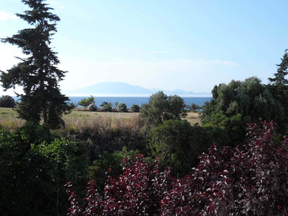 Piękna spokojna okolica AluaSoul Zakynthos - Adults only