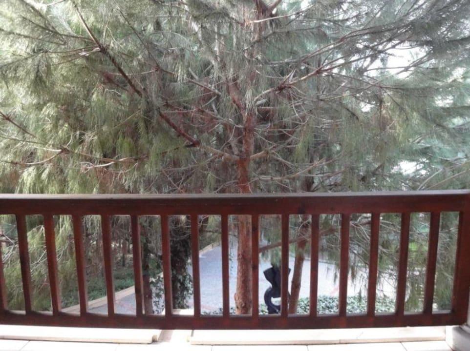 Bungalow Gartenblick  Voyage Belek Golf & Spa