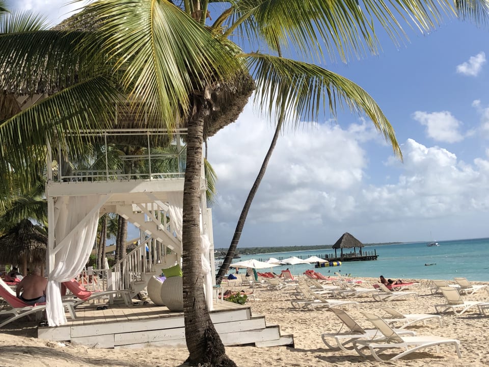 Strand Catalonia Royal La Romana - Adults only