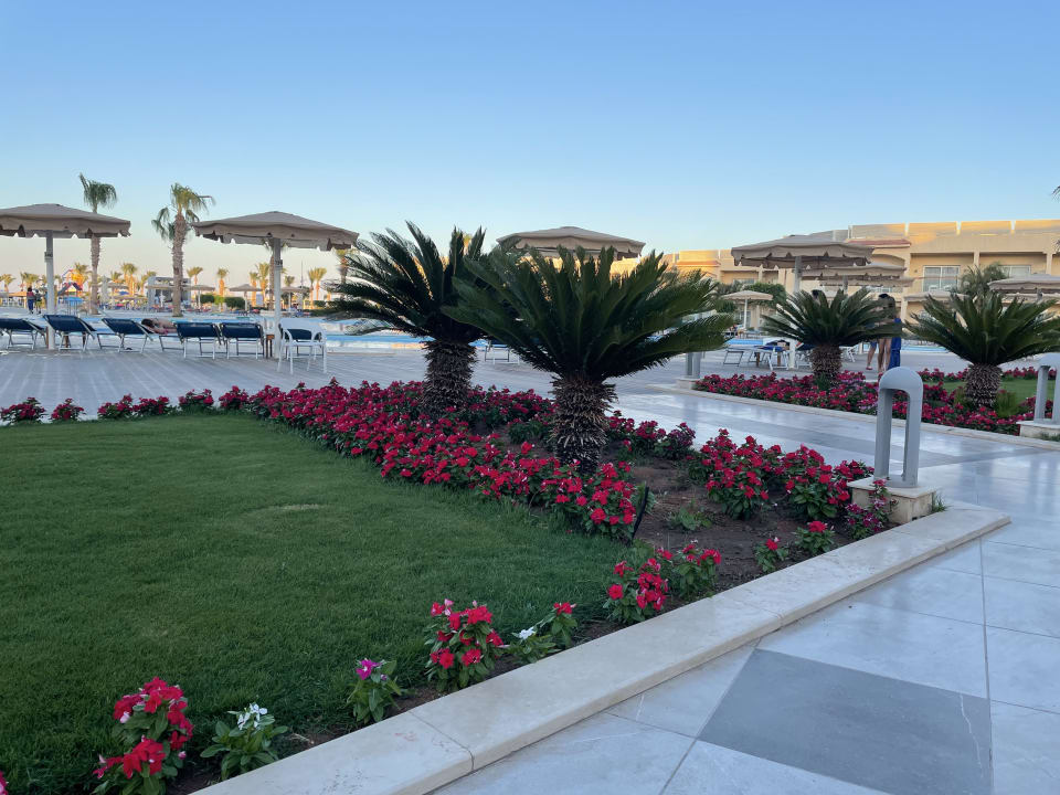 Außenansicht Pickalbatros Royal Moderna Resort-Sharm El Sheikh