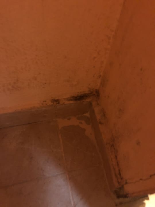 Schimmel in allen Ecken Sol Hicacos Varadero