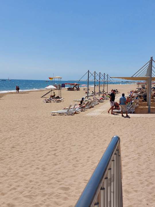 Strand Seashell Vega