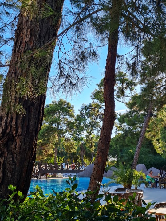 Pool Blue Waters Club